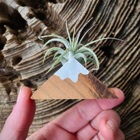 Tiny Mountain Air Planter Magnet